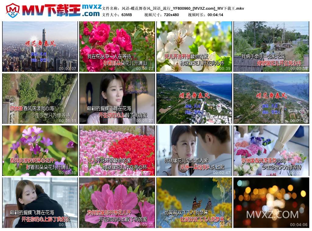 风语-蝶花舞春风_国语_流行_YF800960